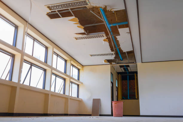 Best Commercial water damage restoration  in Palm Shores, FL