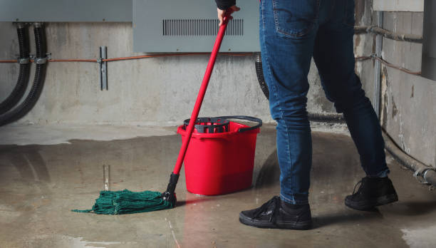 Palm Shores, FL Water damage restoration Company