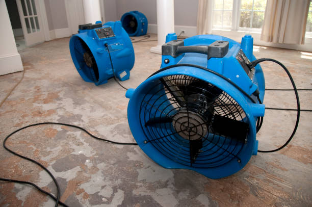 Best Emergency water damage restoration  in Palm Shores, FL