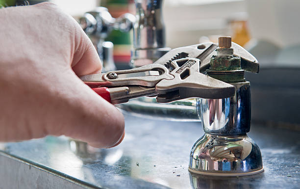 Best Flood restoration services  in Palm Shores, FL