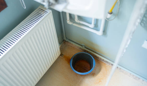 Best Water damage restoration company  in Palm Shores, FL